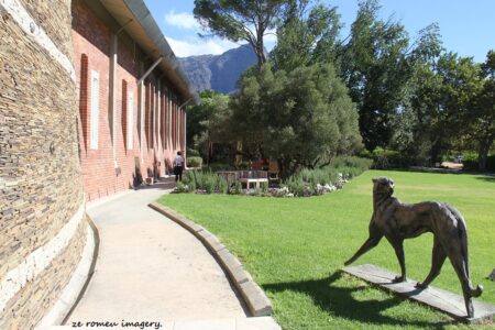 Anthonij Rupert Wine Farm [1], Franschhoek