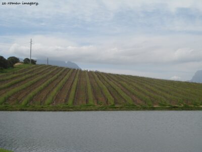 Asara Wines [1], Stellenbosch