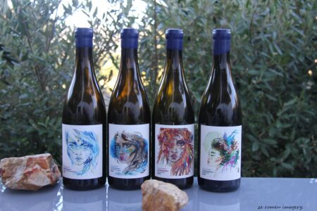 Atlas Swift Wine Farm Tour Franschoek