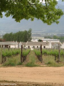 Backsberg Wines, Stellenbosch Backsberg Wines, Stellenbosch