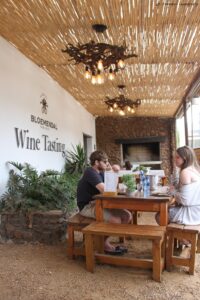 Bloemendal Wine Farm, Durbanville Hills Bloemendal Wine Farm, Durbanville Hills