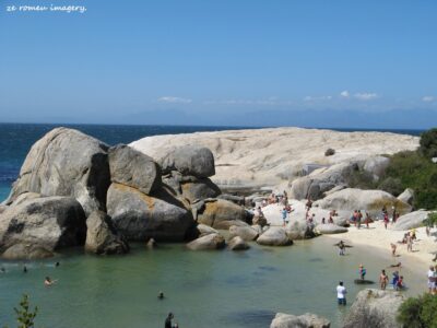 Boulders Penguin Colony Tour 01 Boulders Penguin Colony Tour 01