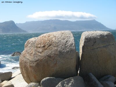 Boulders Penguin Colony Tour 09 Boulders Penguin Colony Tour 09