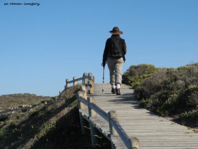 Cape Point Nature Reserve Tour 001 Cape Point Nature Reserve Tour 001