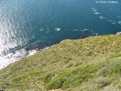 Cape Point Nature Reserve Tour 12 Cape Point Nature Reserve Tour 12