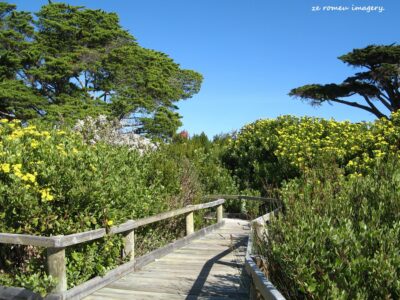 Cape Point Nature Reserve Tour 15 Cape Point Nature Reserve Tour 15