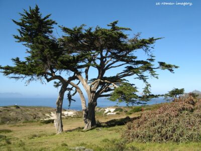 Cape Point Nature Reserve Tour 16 Cape Point Nature Reserve Tour 16
