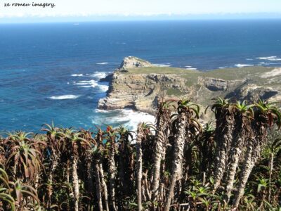 Cape Point Nature Reserve Tour 17 Cape Point Nature Reserve Tour 17