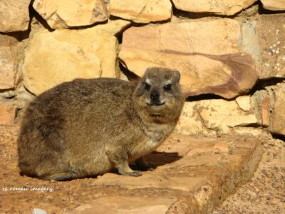 Cape Point Nature Reserve Tour 20 Cape Point Nature Reserve Tour 20