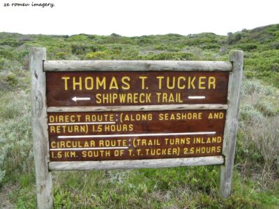 Cape Point Nature Reserve Tour 23 Cape Point Nature Reserve Tour 23