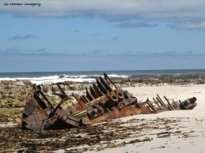 Cape Point Nature Reserve Tour 24 Cape Point Nature Reserve Tour 24