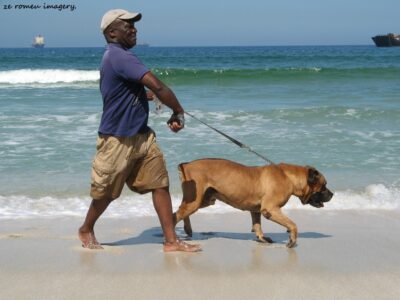 Cape Town Beaches [10]