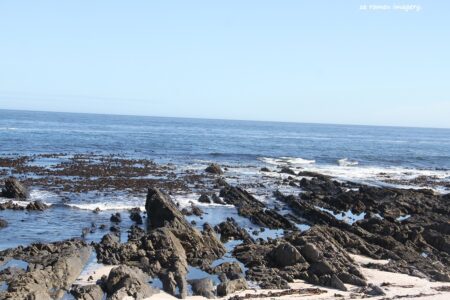Cape Town Beaches [12]