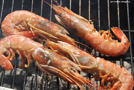 Cape Town Food Highlights [54]