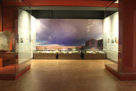 Cape Town Museum & Planetarium (10)