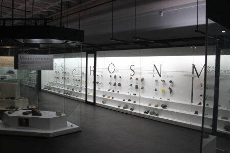 Cape Town Museum & Planetarium (100)