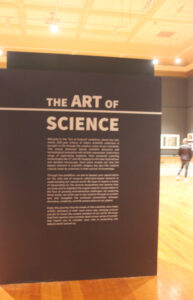 Cape Town Museum & Planetarium (101)