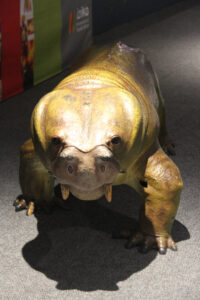 Cape Town Museum & Planetarium (104)