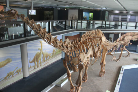 Cape Town Museum & Planetarium (106)