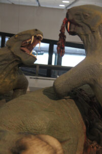 Cape Town Museum & Planetarium (108)
