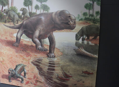 Cape Town Museum & Planetarium (114)