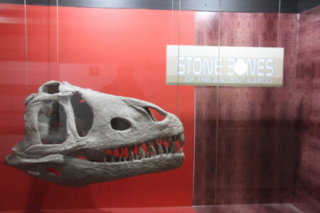 Cape Town Museum & Planetarium (115)