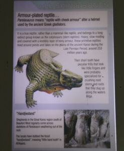 Cape Town Museum & Planetarium (116)