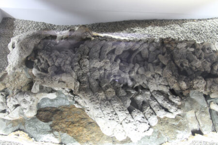 Cape Town Museum & Planetarium (117)