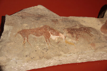 Cape Town Museum & Planetarium (12)