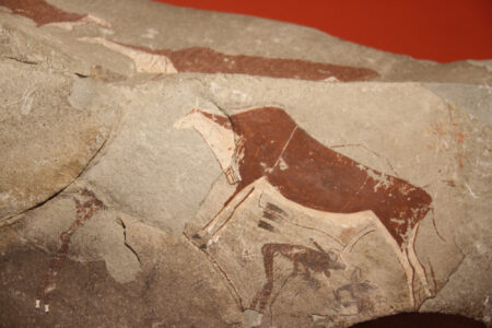 Cape Town Museum & Planetarium (14)