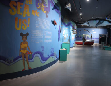 Cape Town Museum & Planetarium (18)