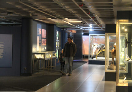 Cape Town Museum & Planetarium (40)