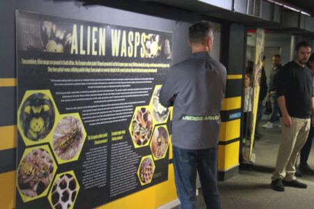 Cape Town Museum & Planetarium (47)