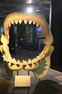 Cape Town Museum & Planetarium (52)