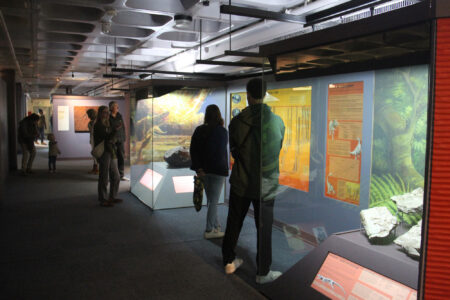 Cape Town Museum & Planetarium (77)