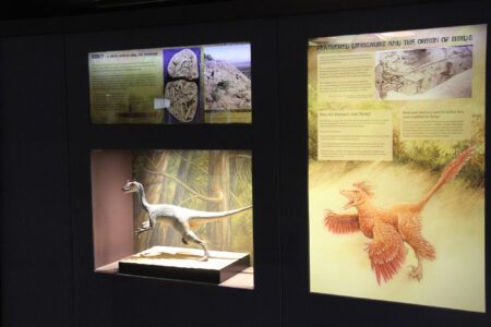 Cape Town Museum & Planetarium (78)