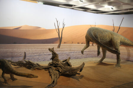 Cape Town Museum & Planetarium (80)