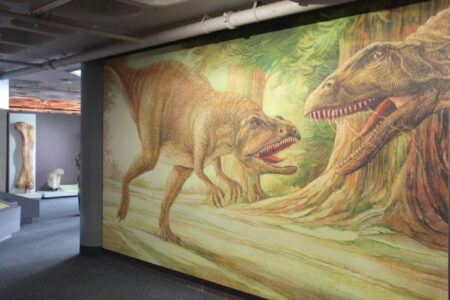Cape Town Museum & Planetarium (81)