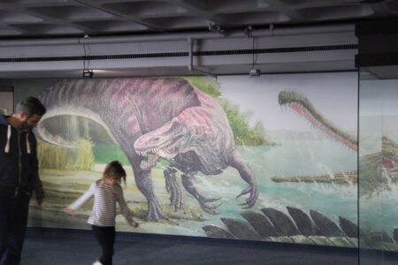 Cape Town Museum & Planetarium (82)