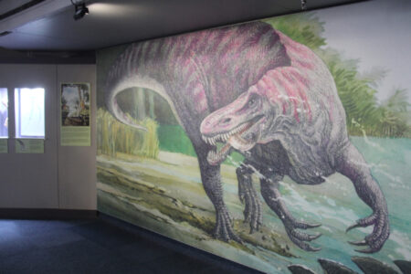 Cape Town Museum & Planetarium (84)