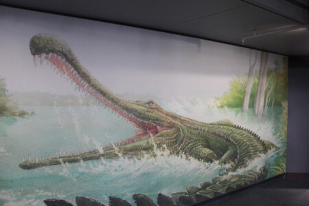 Cape Town Museum & Planetarium (85)