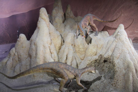 Cape Town Museum & Planetarium (87)