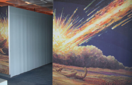 Cape Town Museum & Planetarium (90)