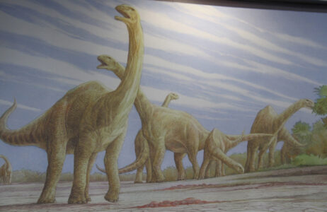 Cape Town Museum & Planetarium (91)