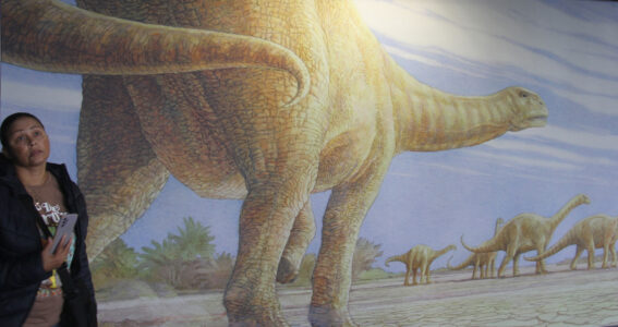 Cape Town Museum & Planetarium (92)