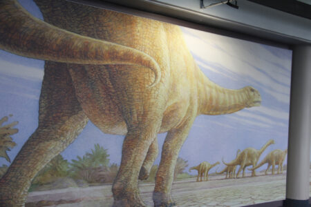 Cape Town Museum & Planetarium (93)