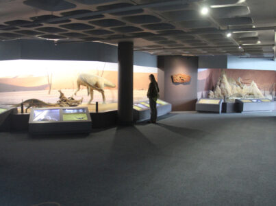 Cape Town Museum & Planetarium (96)