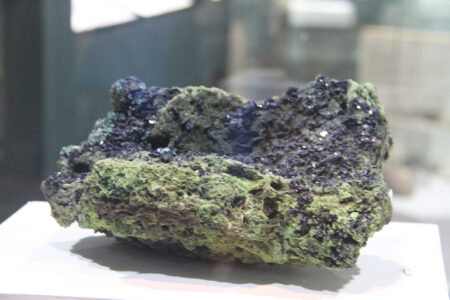 Cape Town Museum & Planetarium (99)