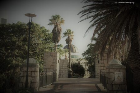 Century City Tour Art Walk (3)