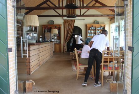Constantia Wine Farms [12]